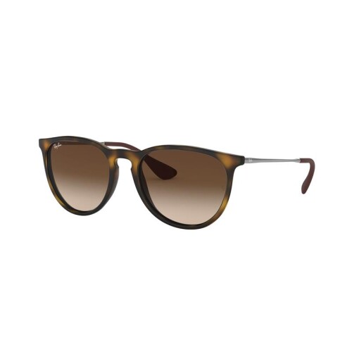 Ray Ban Rb4171l Erika 865/13