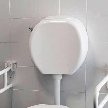 Cisterna Mochila Blanco Brillo Para Discapacitados Ferrum Espacio 000