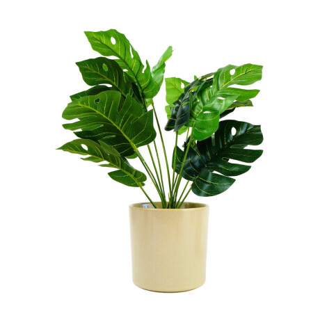 Maceta de ceramica Maceta de ceramica