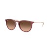 Ray Ban Rb4171 Erika 6815/a5