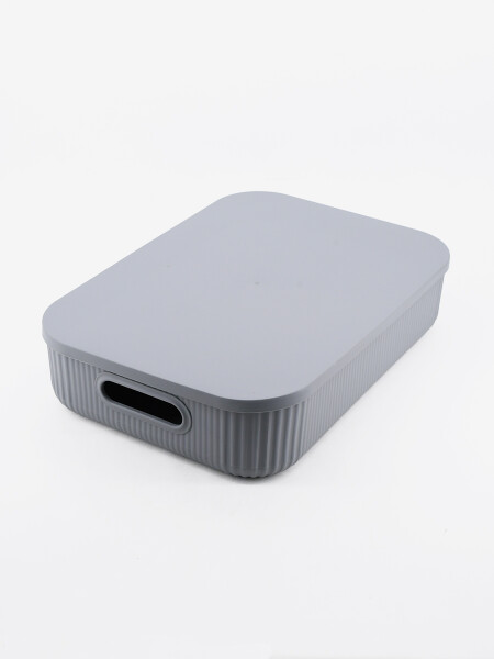 CAJA ORGANIZADORA CON TAPA GRIS