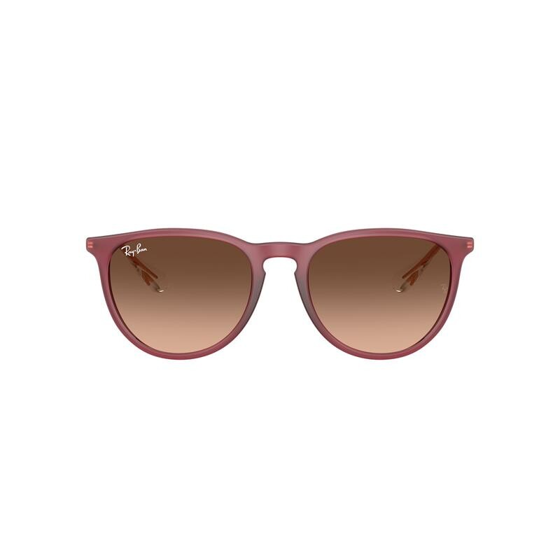 Ray Ban Rb4171 Erika 6815/a5