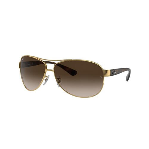 Ray Ban Rb3386 001/13