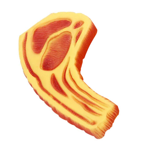 Juguete Costilla Perro Gato Mascota Masticable Chifle Variante Diseño Carne