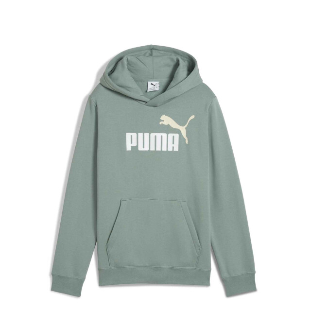 Buzo de Hombre Puma Logo Hoodie Verde