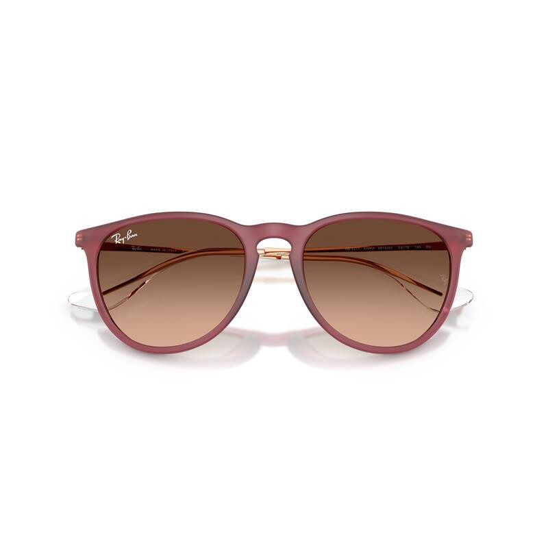 Ray Ban Rb4171 Erika 6815/a5