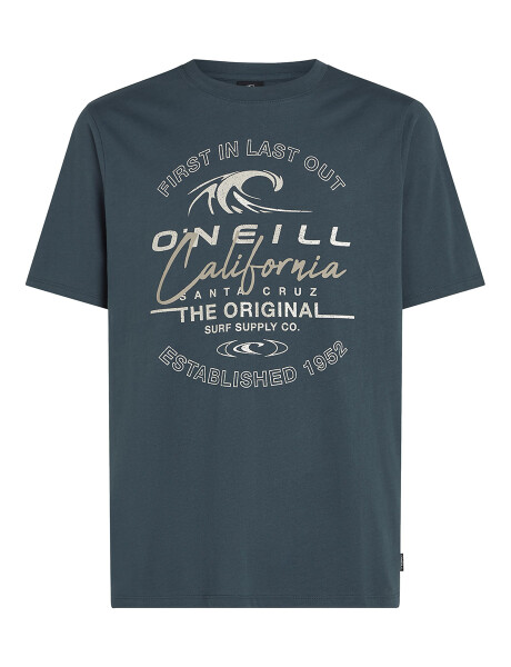 Remera O'Neill Cali Wave Azul