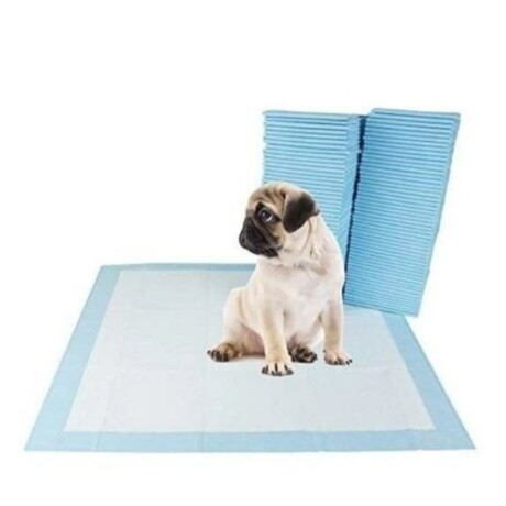 PAÑOS DE ENTRENAMIENT CELESTE 60X45 CM 10 UND Paños De Entrenamient Celeste 60x45 Cm 10 Und