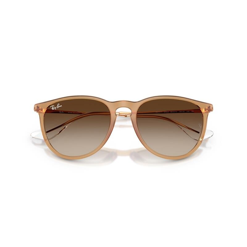 Ray Ban Rb4171 Erika 6814/13
