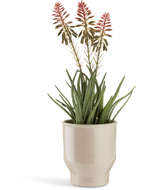 Maceta ADAM	Ø15xA17cm beige Maceta ADAM	Ø15xA17cm beige