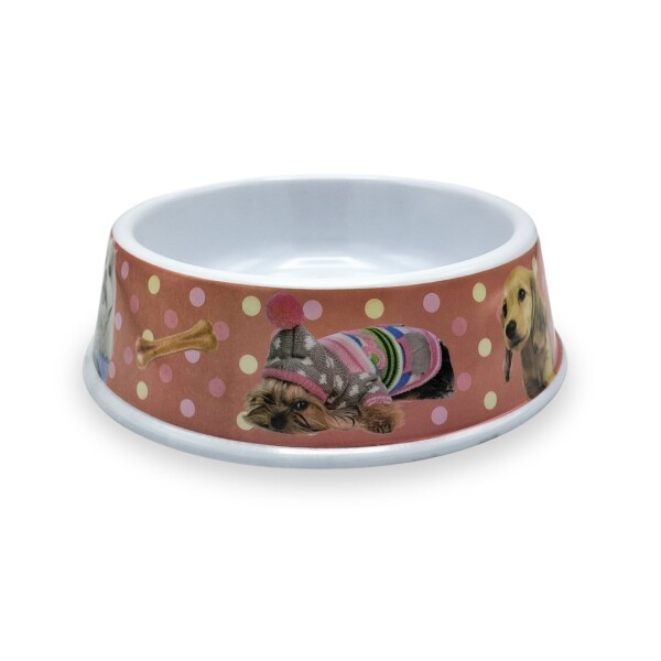 Plato Comida Agua Mascota Perros Gatos Comedero Bebedero Variante Color Rojo