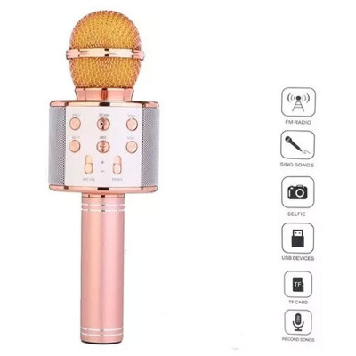 Micrófono WS-858 económico con parlante y luces infantil ROSA Micrófono WS-858 económico con parlante y luces infantil ROSA