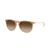Ray Ban Rb4171 Erika 6814/13