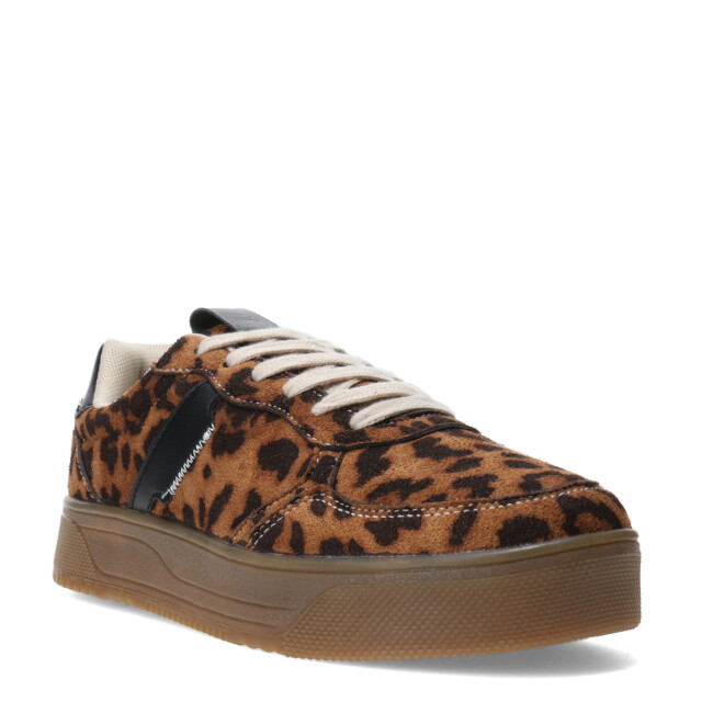 Championes de Mujer Miss Carol TINTY acordonado Animal Print