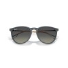 Ray Ban Rb4171 Erika 6813/11