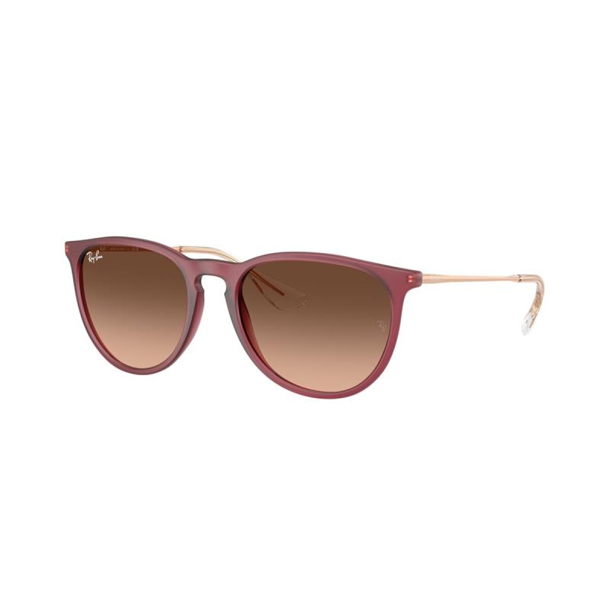 Ray Ban Rb4171 Erika - 6815/a5 