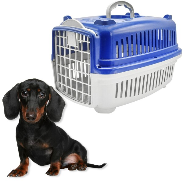 Transportadora Rígida Para Mascotas N3 Perro Gato Resistente Variante Color Azul