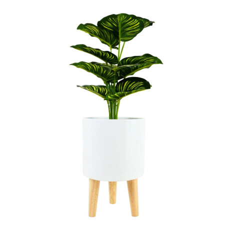 Maceta lisa de cerámica con pies de madera Maceta lisa de cerámica con pies de madera