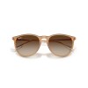 Ray Ban Rb4171 Erika 6814/13