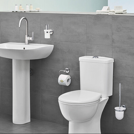 Cepillo De Colgar Cromado Para Inodoro 37.3X11.5Cm 000