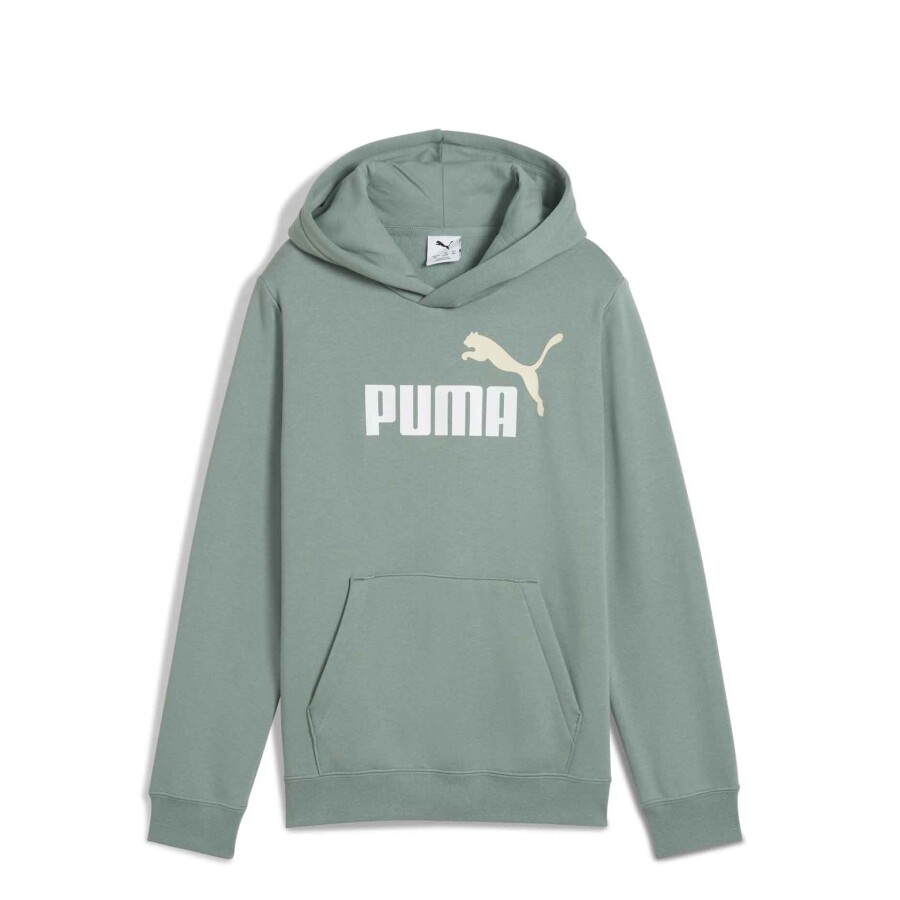 Buzo de Hombre Puma Logo Hoodie Verde