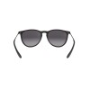 Ray Ban Rb4171 Erika 622/8g