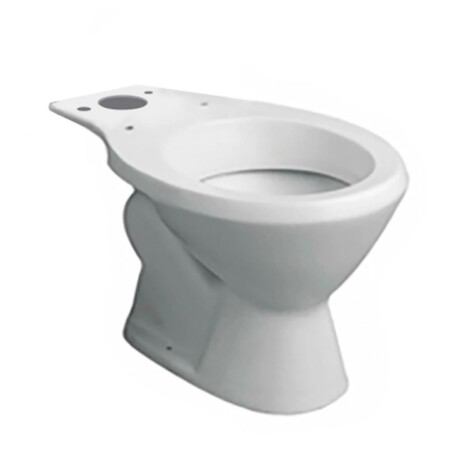 Inodoro Para Mochila Mayo - Andina - Florencia/Atuel Blanco Brillo Descarga A 25 Cms. 000