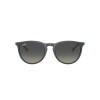 Ray Ban Rb4171 Erika 6813/11
