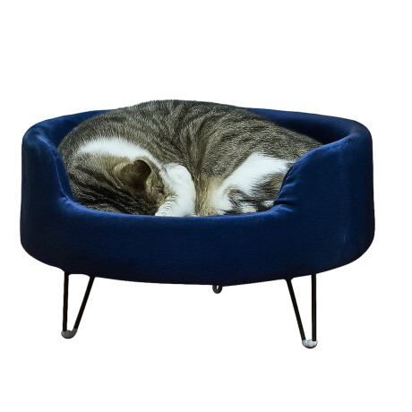 Cama para gatos con almohadon y pies altos Cama para gatos con almohadon y pies altos