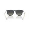 Ray Ban Rb4171 Erika 6813/11