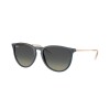 Ray Ban Rb4171 Erika 6813/11