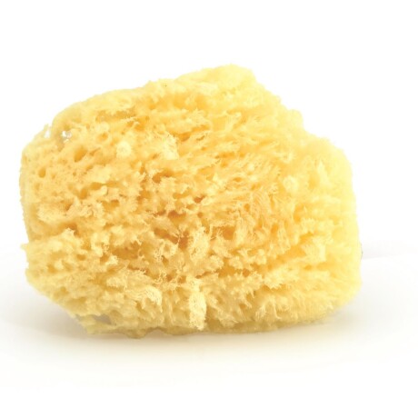 Esponja natural Marina Esponja natural Marina