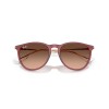 Ray Ban Rb4171 Erika 6815/a5