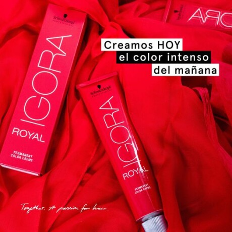 Igora Royal Professional Tintas Nº 8 rubio claro
