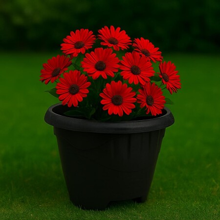 MACETA REDONDA 5 LITROS NEGRO REF 0292 MACETA REDONDA 5 LITROS NEGRO REF 0292