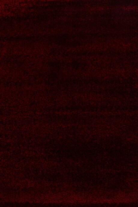 SUPER SOFTNESS ALFOMBRAS SUPER SOFTNESS SSF/2144/F670/ 200X290 CLARET