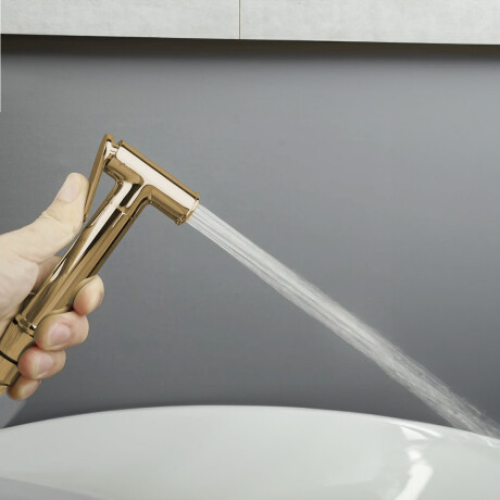 Griferia Ducha Higienica Embutir En Oro Brillo - Signature 000