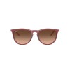 Ray Ban Rb4171 Erika 6815/a5