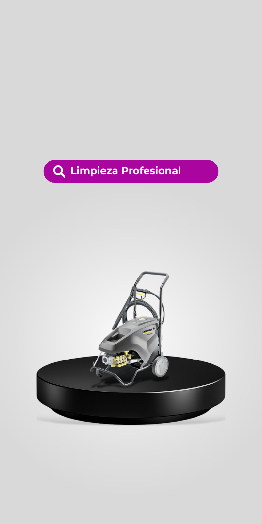 Limpieza Profesional