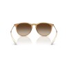 Ray Ban Rb4171 Erika 6814/13