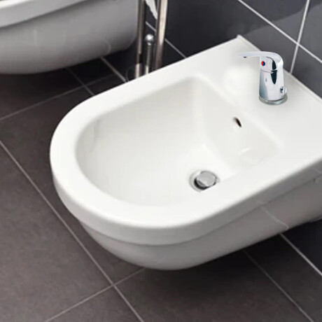Griferia De Bidet Monocomando Linea Bombay Aqualia Cromo C/Transferencia Y Ducha 35Mm 000