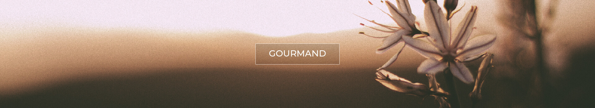 Listado de Productos - Gourmand