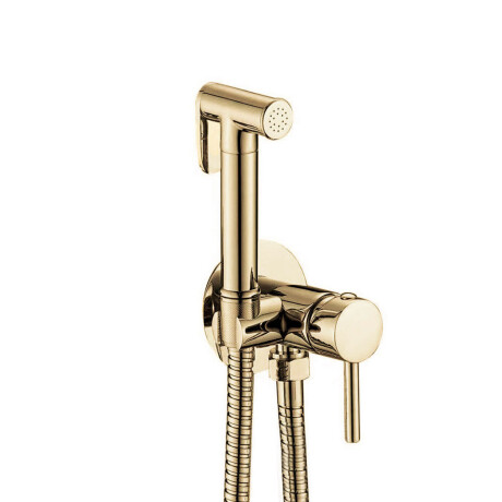 Griferia Ducha Higienica Embutir En Oro Brillo - Signature 000