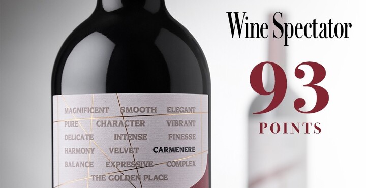 VIK A Carménère 2022 brilla con 93 puntos en Wine Spectator
