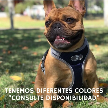 ARNES REFORZADO CINTA REFLEX - XL (27 A 45 KG) Arnes Reforzado Cinta Reflex - Xl (27 A 45 Kg)