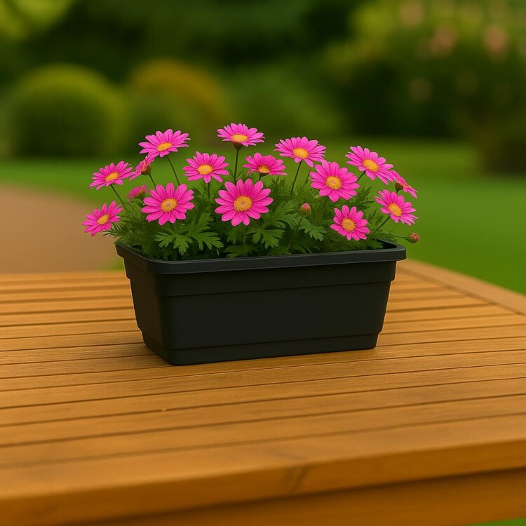 MACETA JARDINERA RECTANGULAR 8LTS 45X16X12CM NEGRO