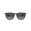 Ray Ban Rb4171 Erika 622/8g