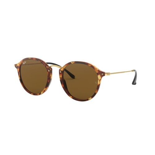 Ray Ban Rb2447 1160