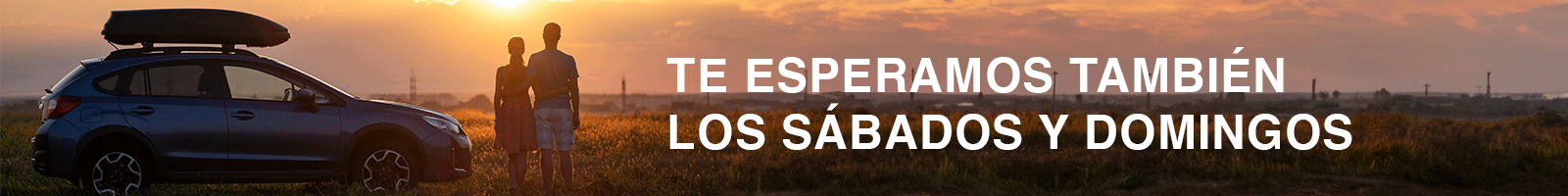 Banner General - Listado de productos GIF