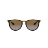 Ray Ban Rb4171 Erika 710/t5